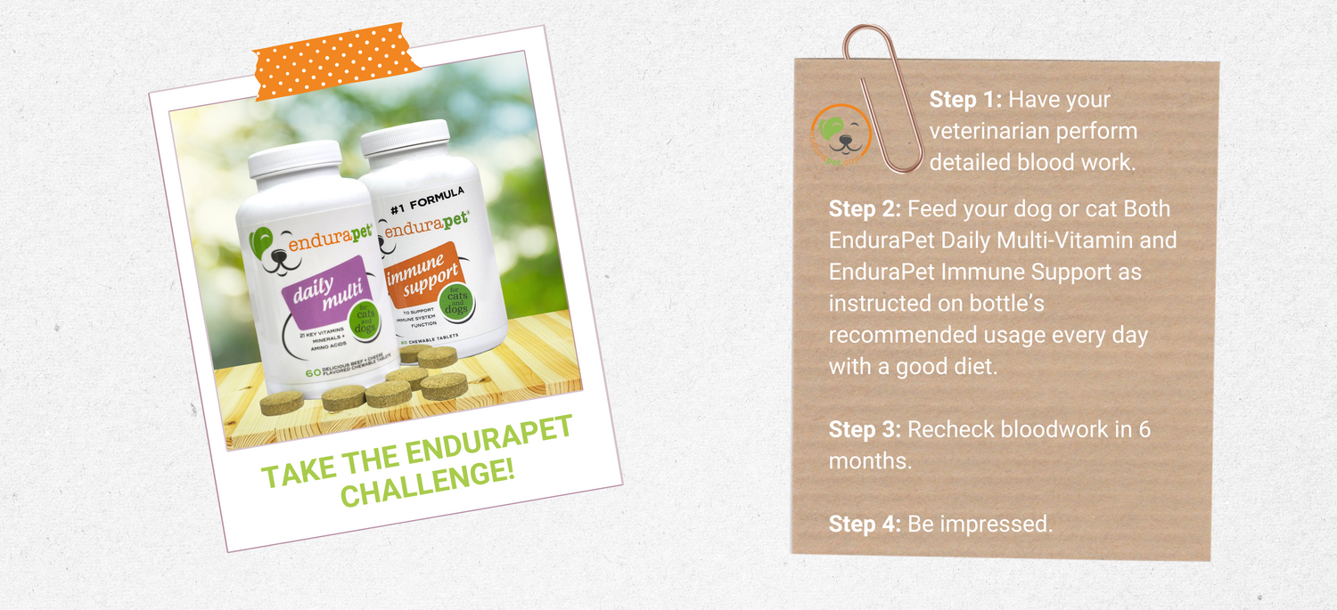 endura pet challenge