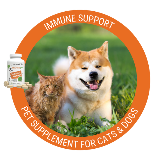 immune support circle
