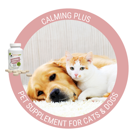 calming plus circle