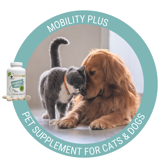 Mobility plus circle